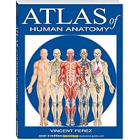 Atlas of Anatomy: 9781684202034: Medicine & Health Science Books